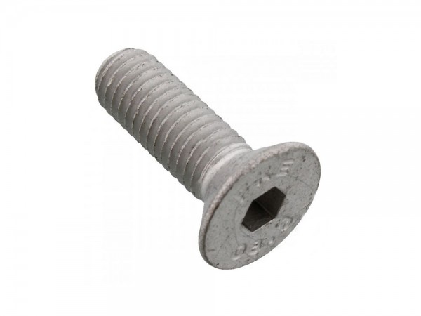 Schraube Kettenrad / Kettenradschraube Originalersatzteil M8X1.25X20 mm