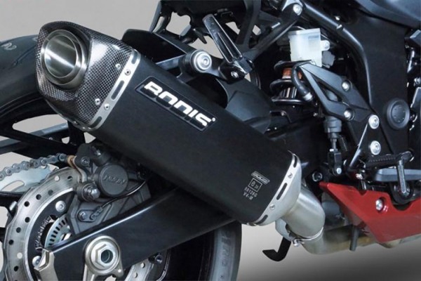 Bodis V4-M-CA Endschalldämpfer passend für Suzuki GSX-S 750 / GSR 750, Baujahre: ab 2017