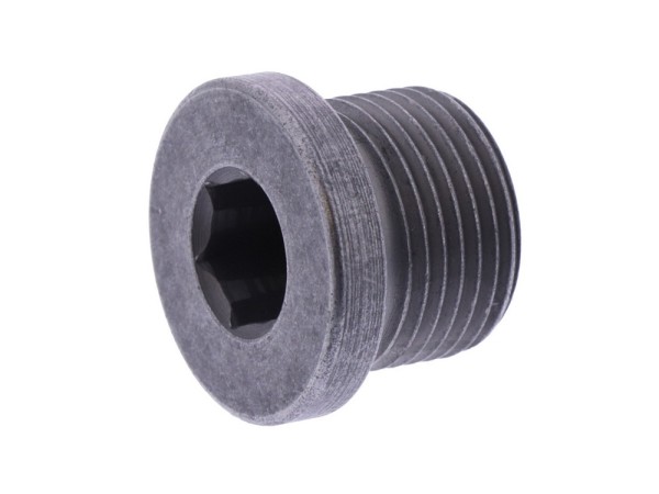 Ölablassschraube magnetisch OE passend für BMW R 1200 / 1250 GS / RS / RT / R / Yamaha XP 500 / 530