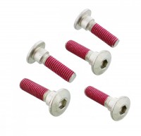 TRW Lucas Bremsscheibenschrauben-Satz MSS122-5 (M8 x 1,25 x 30 x 33,20 mm) vorne passend für Kawasak TRW Lucas Bremsscheibenschrauben-Satz MSS122-5 (M8 x 1,25 x 30 x 33,20 mm) vorne passend für Kawasak