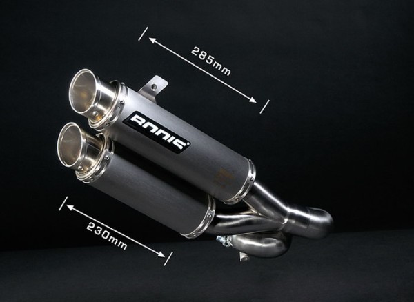 Bodis GPX2-S Endschalldämpfer passend für Yamaha FZ1; Baujahre: 2006-2016