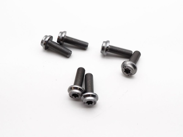 TRW Lucas Bremsscheibenschrauben-Satz MSS149-6 vorn passend für BMW S1000RR 6 Stk.