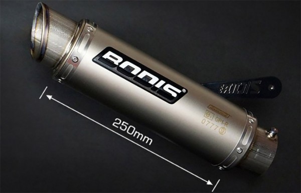Bodis GP1-R Auspuff Titan Endschalldämpfer passend für BMW S 1000 R, Baujahre: 2014-2016