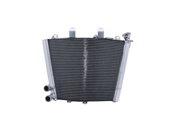 Wasserkühler passend auf BMW M 1000 R RR / S 1000 R RR