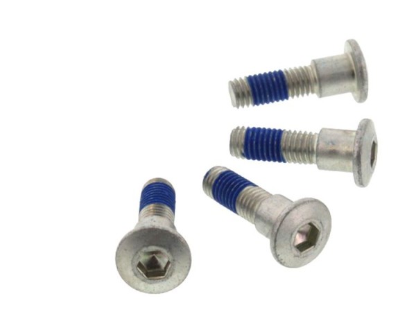 TRW Lucas Bremsscheibenschrauben-Satz MSS134-4 (M8 x 1,25 x 15,5 x 24,5 mm) passend für Honda 4 Stk.