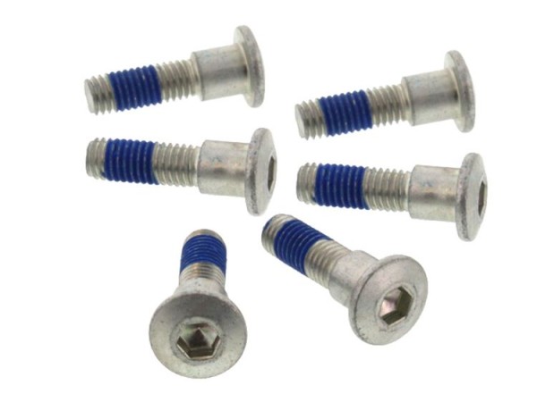 TRW Lucas Bremsscheibenschrauben-Satz MSS134-6 (M8 x 1,25 x 15,5 x 24,5 mm) passend für Honda 6 Stk.