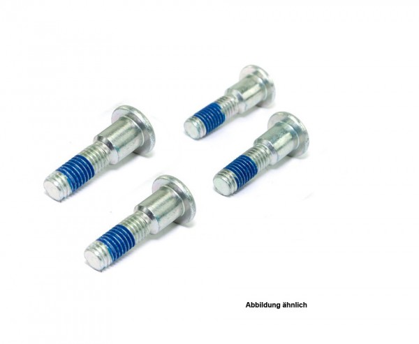 TRW Lucas Bremsscheibenschrauben-Satz MSS125-4 (M8 x 1,25 x 30 x 33 mm) hinten passend für Kawasaki