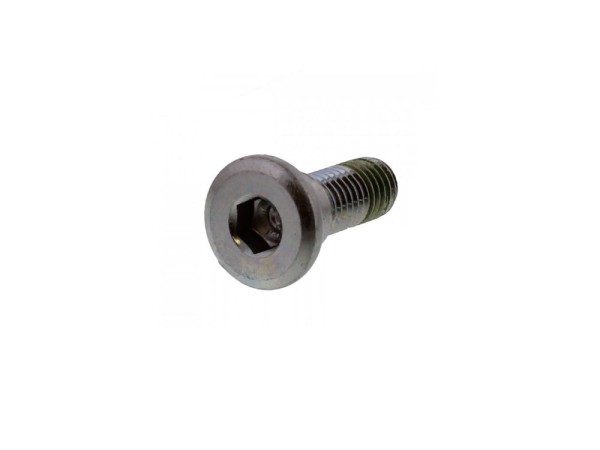 Schraube Bremsscheibe M8x1.25x24mm Originalersatzteil