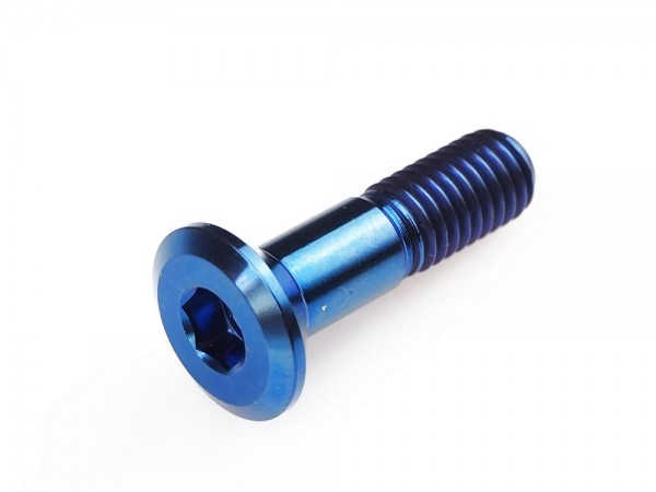 Schraube Kettenrad Pro Bolt M8 x 1.25mm 31mm Titan / gold / blau / violett