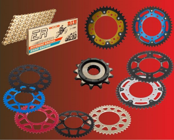 DID Racing Kettensatz passend für Kawasaki EX 300 Ninja A / B ABS ab Bj 13 mit DID520ZVMX / ERV-7 Ke